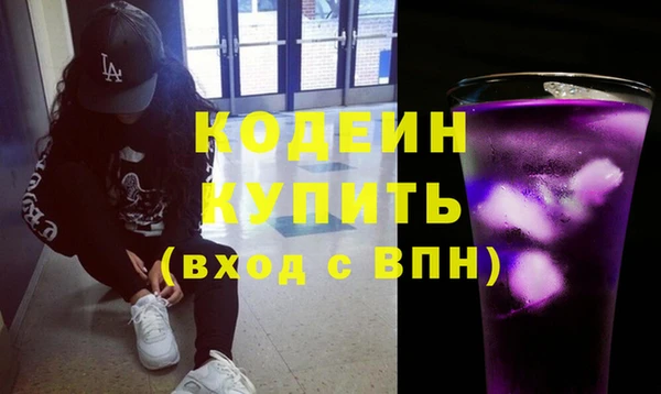 индика Няндома
