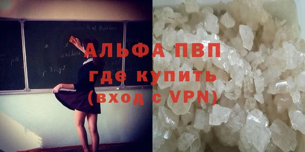 индика Няндома