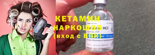 индика Няндома