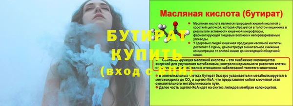 индика Няндома