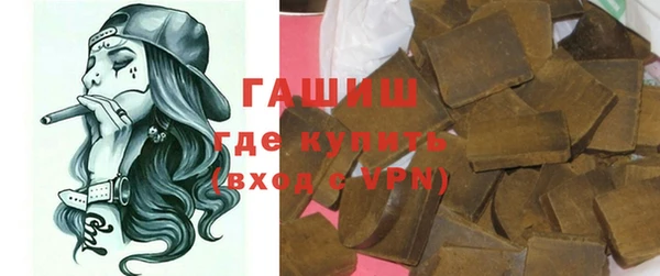 индика Няндома