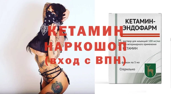 индика Няндома