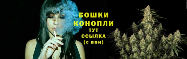 Альфа ПВП Нягань