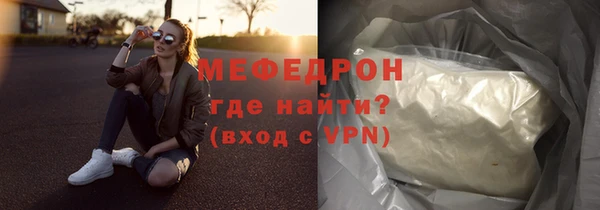 индика Няндома