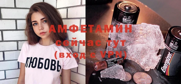 индика Няндома
