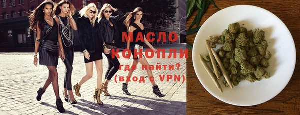 индика Няндома