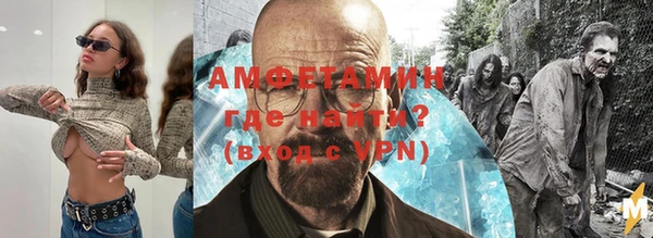 индика Няндома