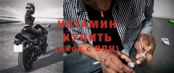 индика Няндома