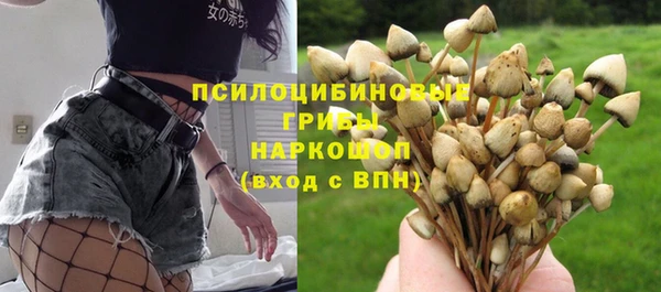 Альфа ПВП Нягань