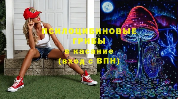 индика Няндома