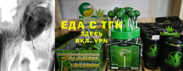 индика Няндома