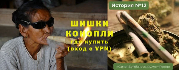 индика Няндома