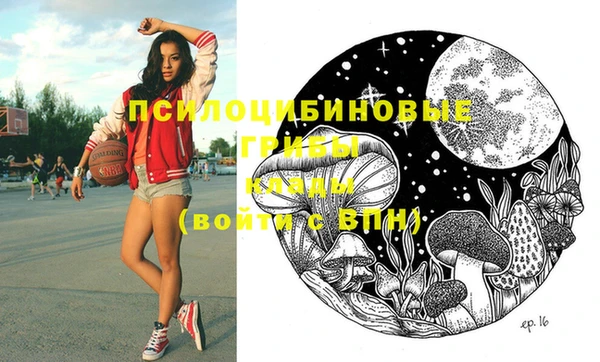 индика Няндома