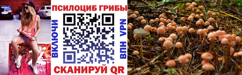 Галлюциногенные грибы Psilocybe Пыталово